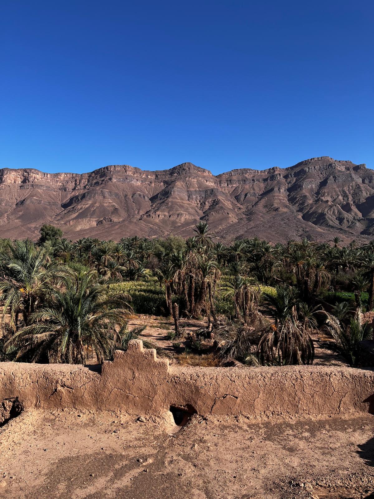 Private courtyards at Villa des orangers, Morocco